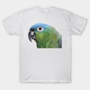 Mealy Amazon T-Shirt